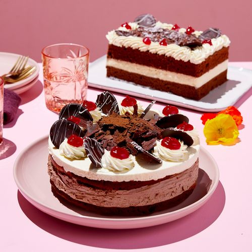 Chocolate Mousse Cake | Ferguson Plarre's Bakehouse