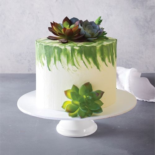 Sweet Succulent Celebration Cake