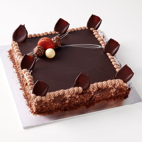 Large Chocolate Vanilla Slice Cake