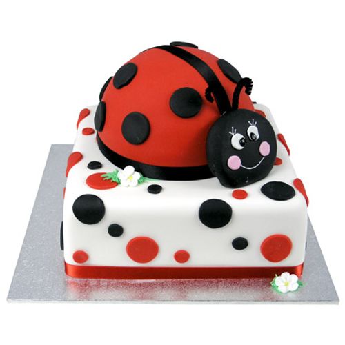 A Ladybird Dot Birthday Cake