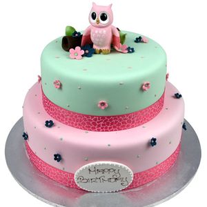 Animal & Dinosaur Birthday Cakes |… | Ferguson Plarre's Bakehouse